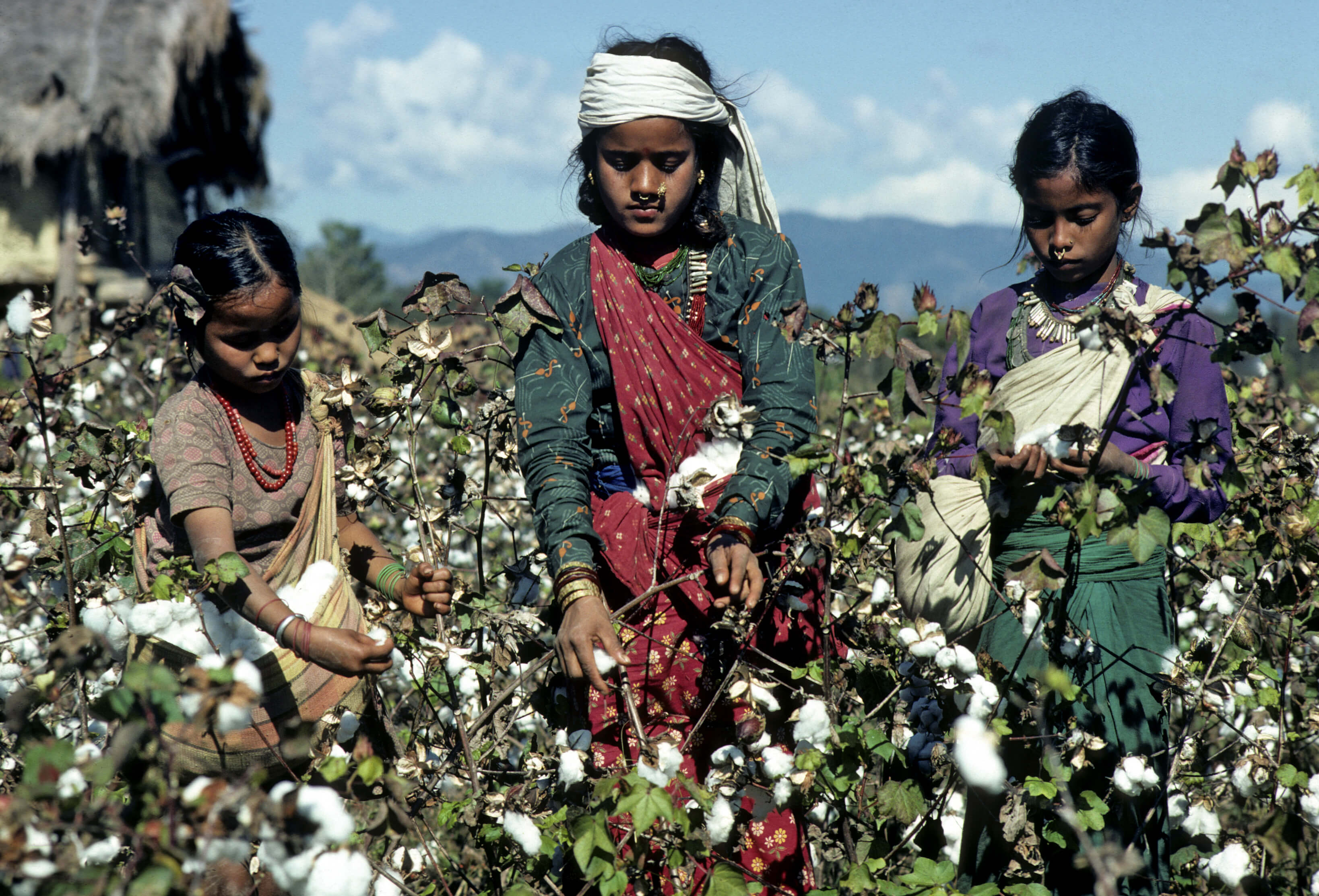 Randomised Control Trials Update On Outcomes Of Call For Proposals