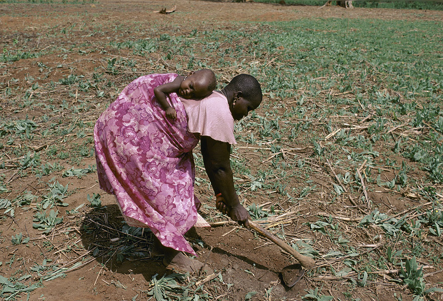 Agriculture in Benin